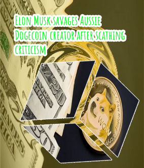 Both dogecoin now criticizing cryptocurrencies