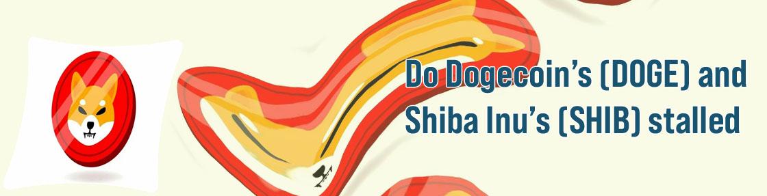 Shiba inu coin crypto