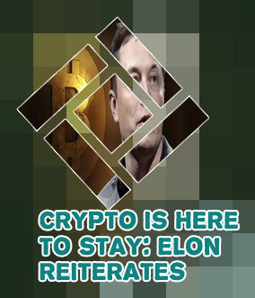 Where to buy elon crypto